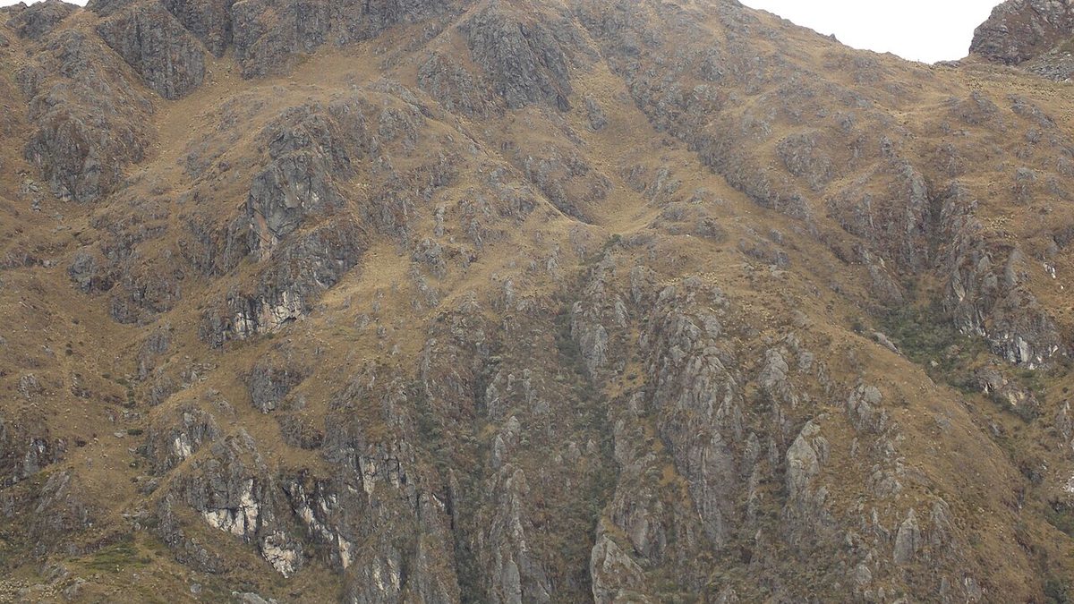 Páramo de Colombia, paisaje de biodiversidad